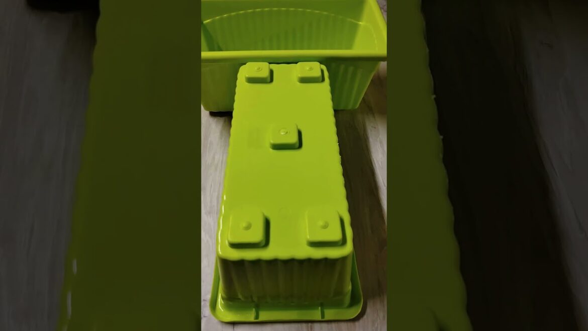 What I Ordered V/S What I Got from Amazon|V.6| #amazon #amazonhaul #amazonindia #shopping #garden What I Ordered V/S What I Got from Amazon|V.6| #amazon #amazonhaul #amazonindia #shopping #garden