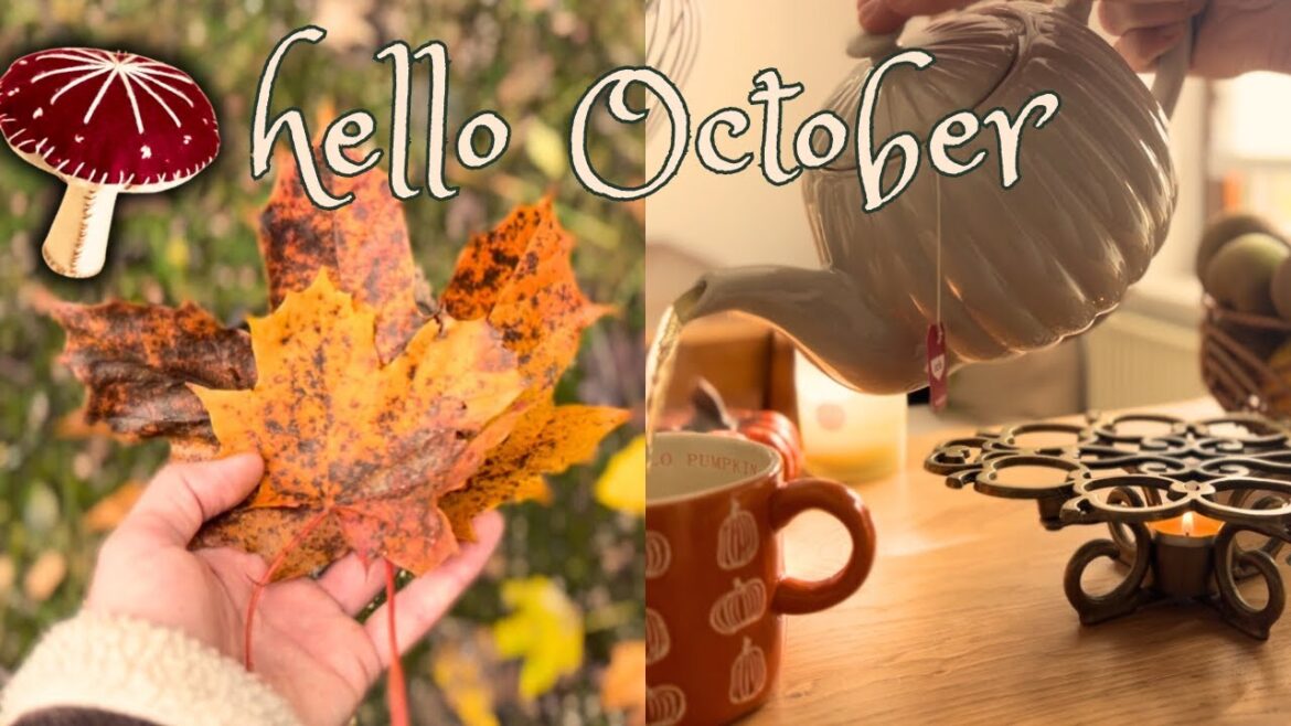 Hello October 🍄🍂Cottagecore autumn days with apple picking, crafting, baking & mushrooms Hello October 🍄🍂Cottagecore autumn days with apple picking, crafting, baking & mushrooms