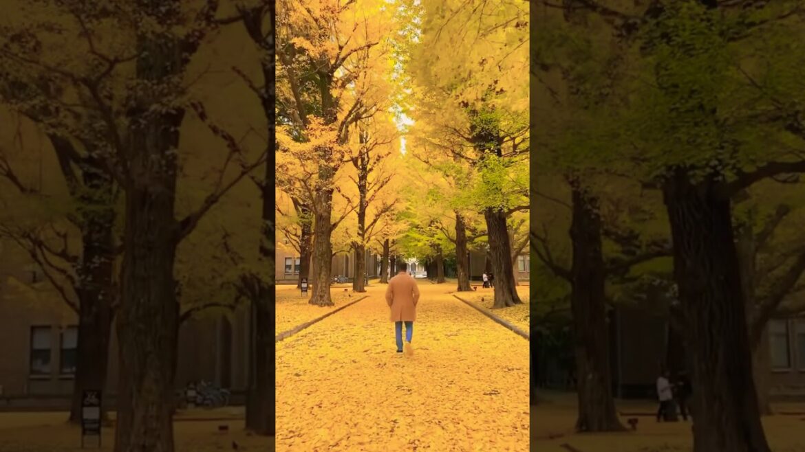 Self motivation #trending #ytshorts #shortvideo #shorts #short #nature #assam #viralshort #gardener