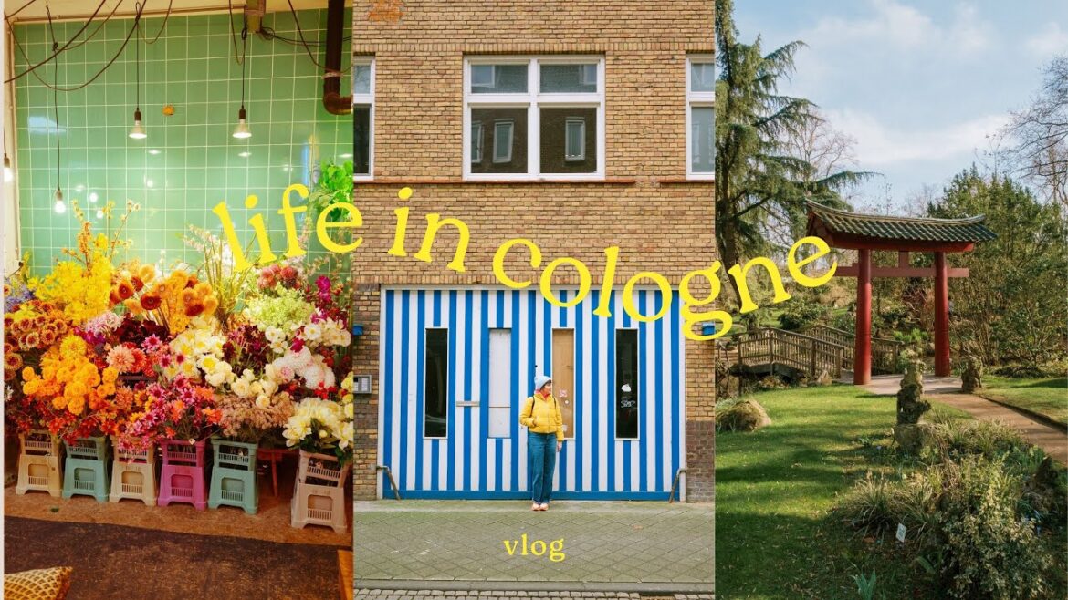 weekly vlog – japanese garden, roadtrip to maastricht, coffee & vintage weekly vlog - japanese garden, roadtrip to maastricht, coffee & vintage