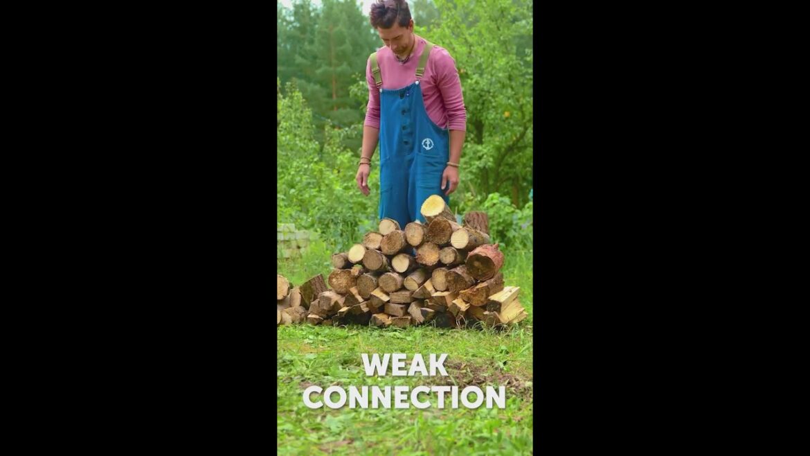 Tons of Clever Tips to Transform Your Cozy Backyard! 🌿🏡 Tons of Clever Tips to Transform Your Cozy Backyard! 🌿🏡