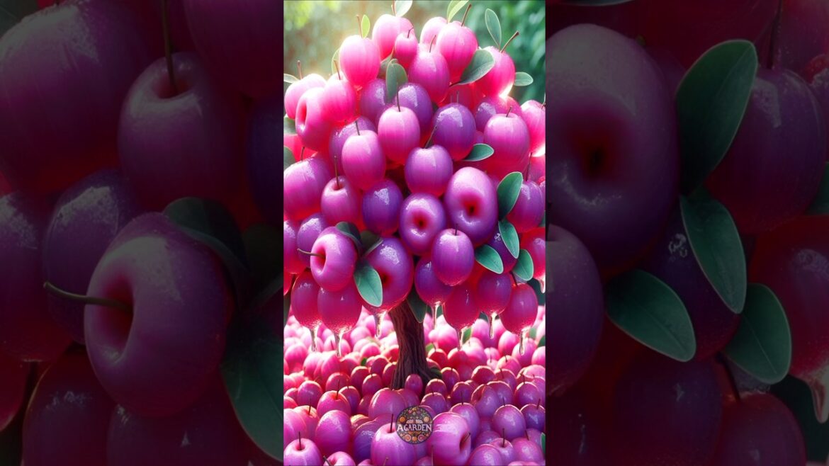 Easy and fast method for planting and growing waterapple fruit trees using stem grafts. #gardening