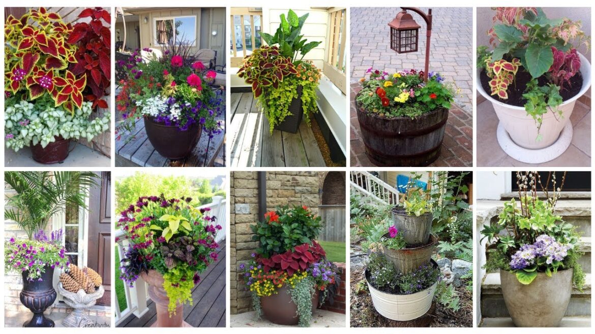 127 + Container Garden Design Ideas For Backyard, Porch, Lawn & Balcony You Can DIY. @decorabout 127 + Container Garden Design Ideas For Backyard, Porch, Lawn & Balcony You Can DIY. @decorabout
