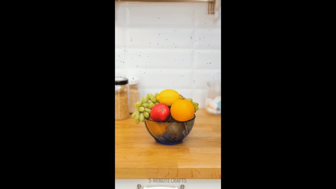 Simple Tricks to Banish Pests Effortlessly! 🌿