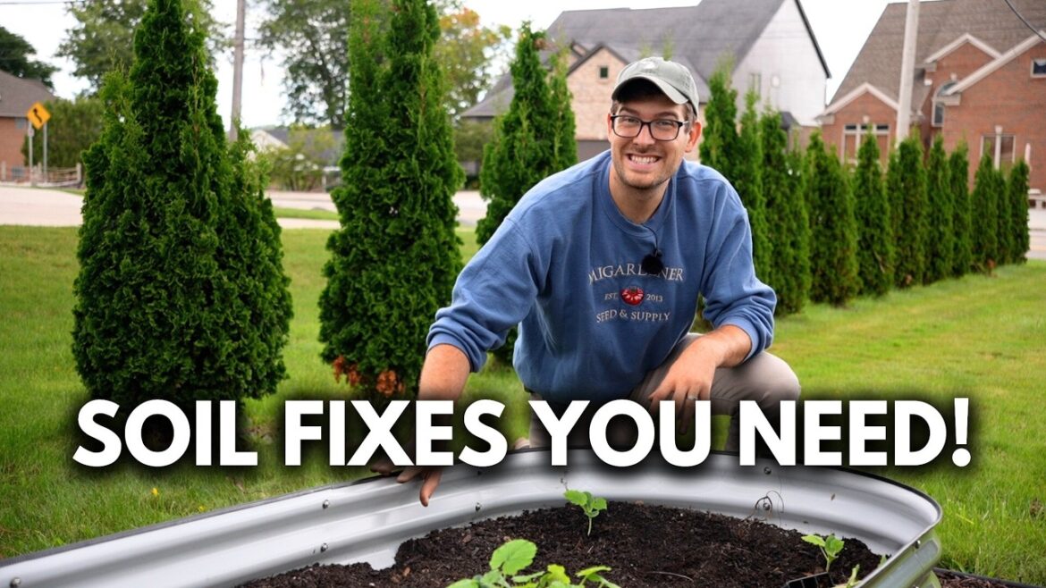 MIgardener: AMEND Your Fall Garden Like THIS For Maximum Soil Success! AMEND Your Fall Garden Like THIS For Maximum Soil Success!