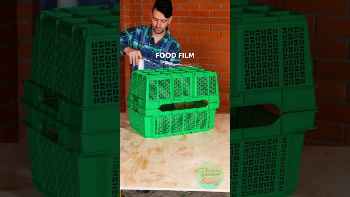 Gardening Tips and Tricks You’ll Love! #CanIComeWithYou Gardening Tips and Tricks You'll Love! #CanIComeWithYou