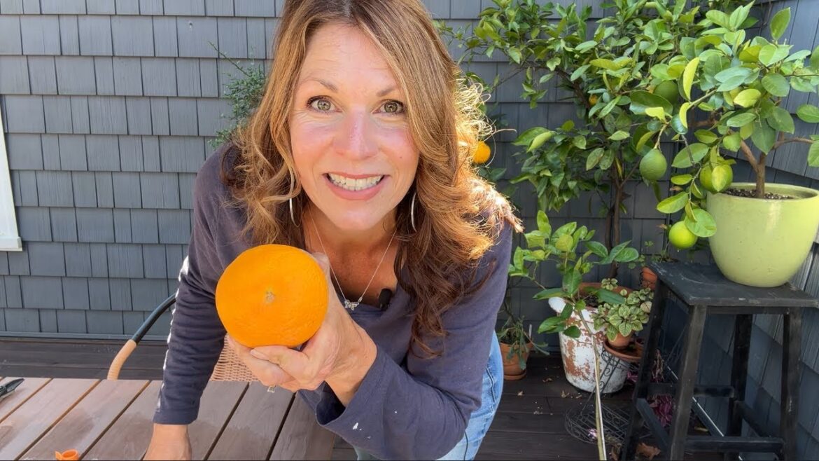 YES You CAN Grow Edible Citrus in New England...and Other Cold Places!