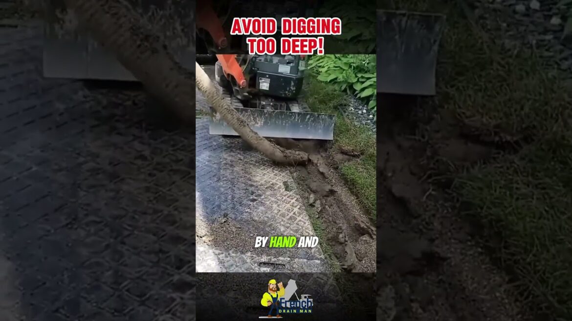 Understanding Yard Drainage:  Why Elevation Matters