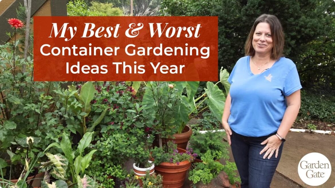 Fall Recap: My Best & Worst Container Gardening Ideas This Year! 🪴 #containergardening #gardentips