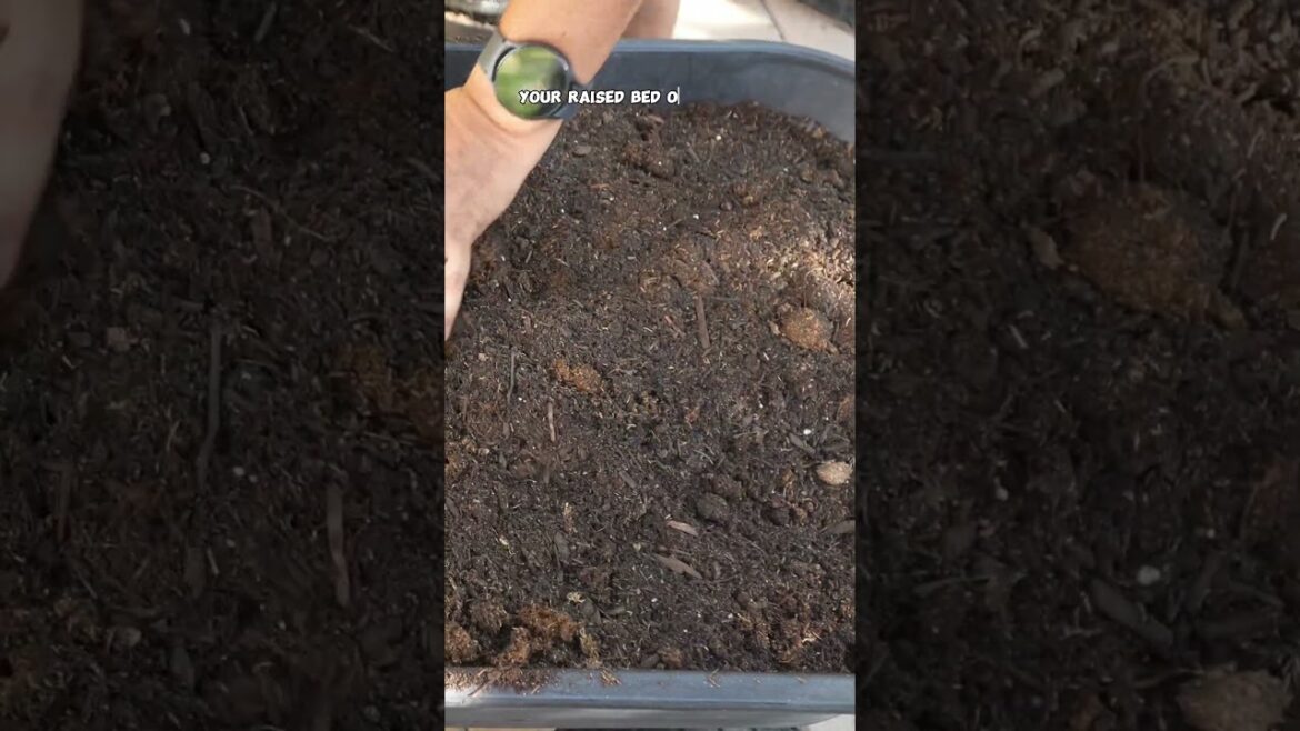 Prepping Your Garden for Fall: Raised Beds, Amendments, & Composting Tips