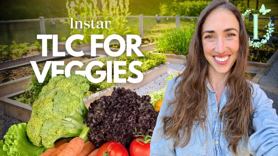 Give your Veggie Garden the BEST TLC!