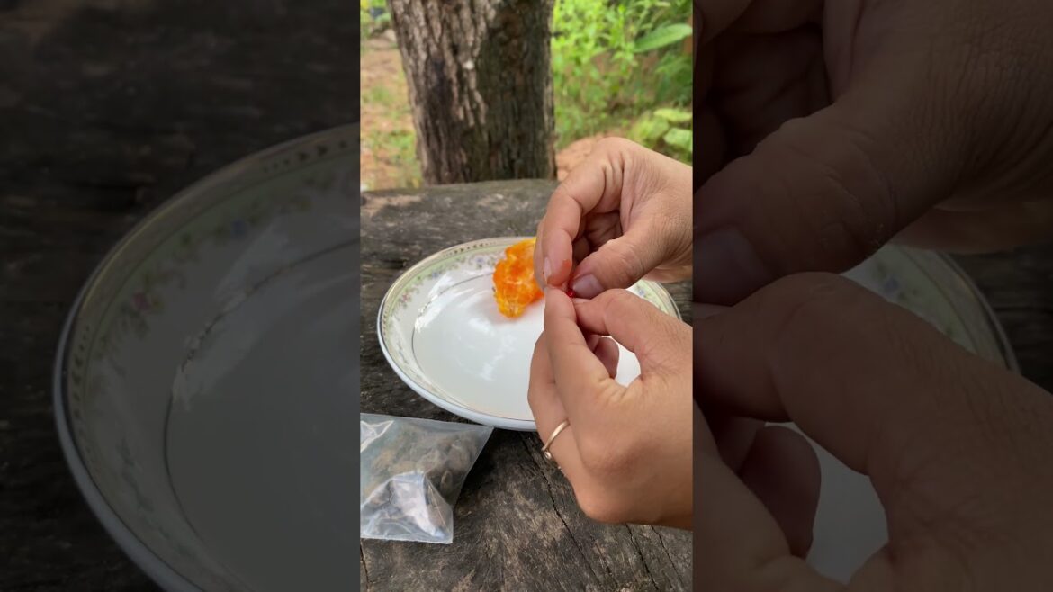 Daily life gardener by meimei / tips for growing/ enjoy with organic vegetable #shorts #gardening