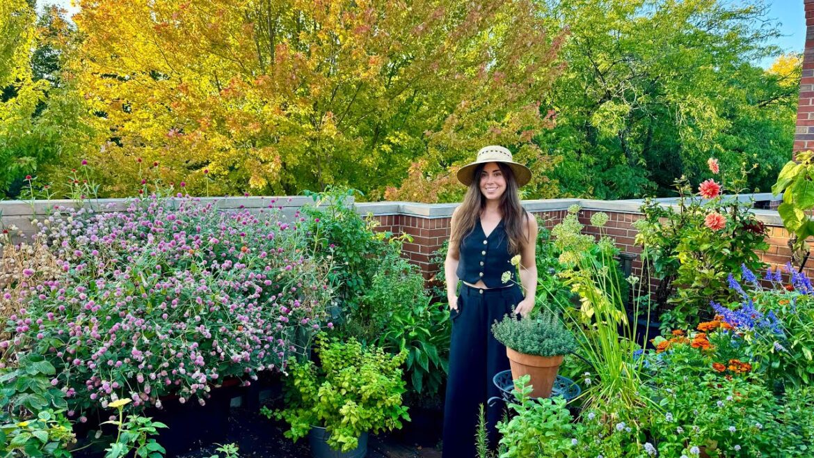 October 2024 Container Garden Tour!🪴My Rooftop Front Deck Garden October 2024 Container Garden Tour!🪴My Rooftop Front Deck Garden
