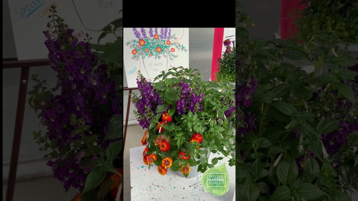 Container Garden Recipe and Tips #garden #floweringplant#flowers #containergardening #homegarden