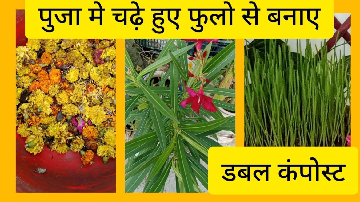 पुजा मे चढ़े हुए फुलो से खाद बनाए #organic compost #gardening#khad#liquid fertilizer पुजा मे चढ़े हुए फुलो से खाद बनाए #organic compost #gardening#khad#liquid fertilizer