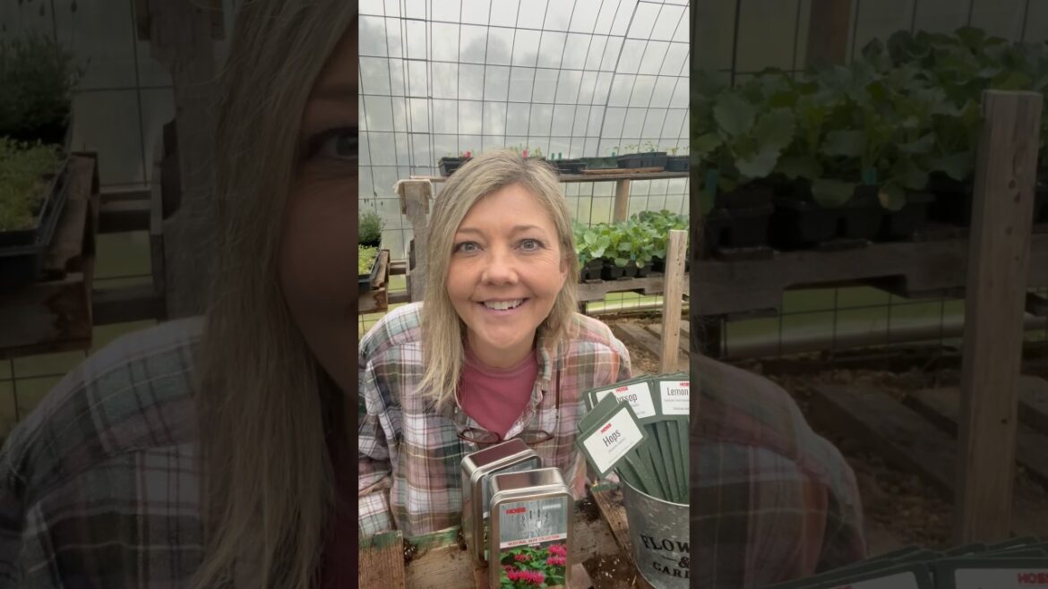 Growing Medicinal Herbs #gardening #herbs #medicinalherbs #herbgarden Growing Medicinal Herbs #gardening #herbs #medicinalherbs #herbgarden