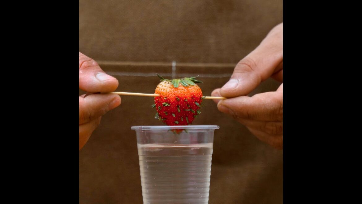 Clever strawberry growing hacks🍓