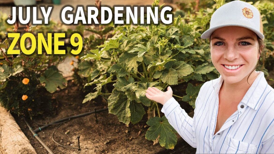 6 BEST July Gardening Tips (Zone 9 California)