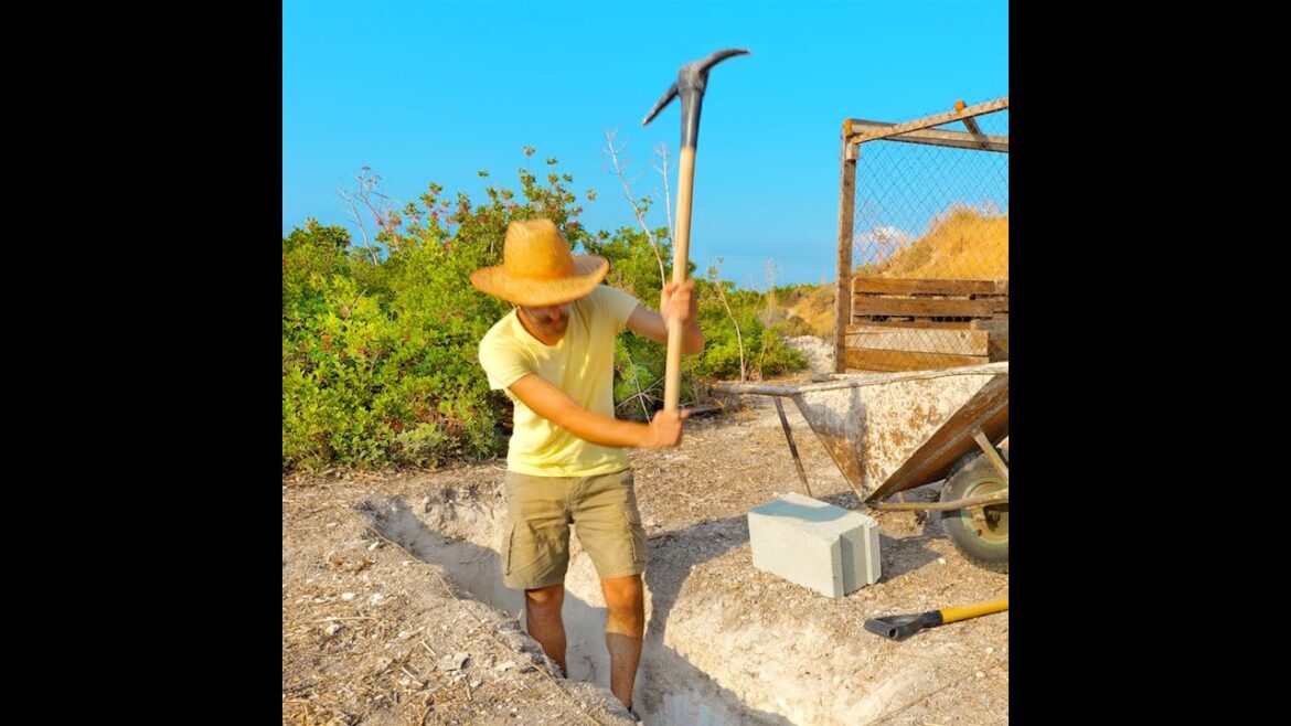 Prepare your garden for winter with this DIY greenhouse 🌿 #shorts Prepare your garden for winter with this DIY greenhouse 🌿 #shorts