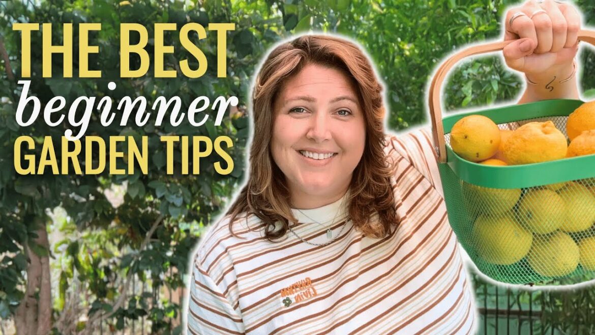 START YOUR HOME GARDEN on a Budget! 🏡🌼 5 EASY Garden Tips for Successful Home Gardens START YOUR HOME GARDEN on a Budget! 🏡🌼 5 EASY Garden Tips for Successful Home Gardens