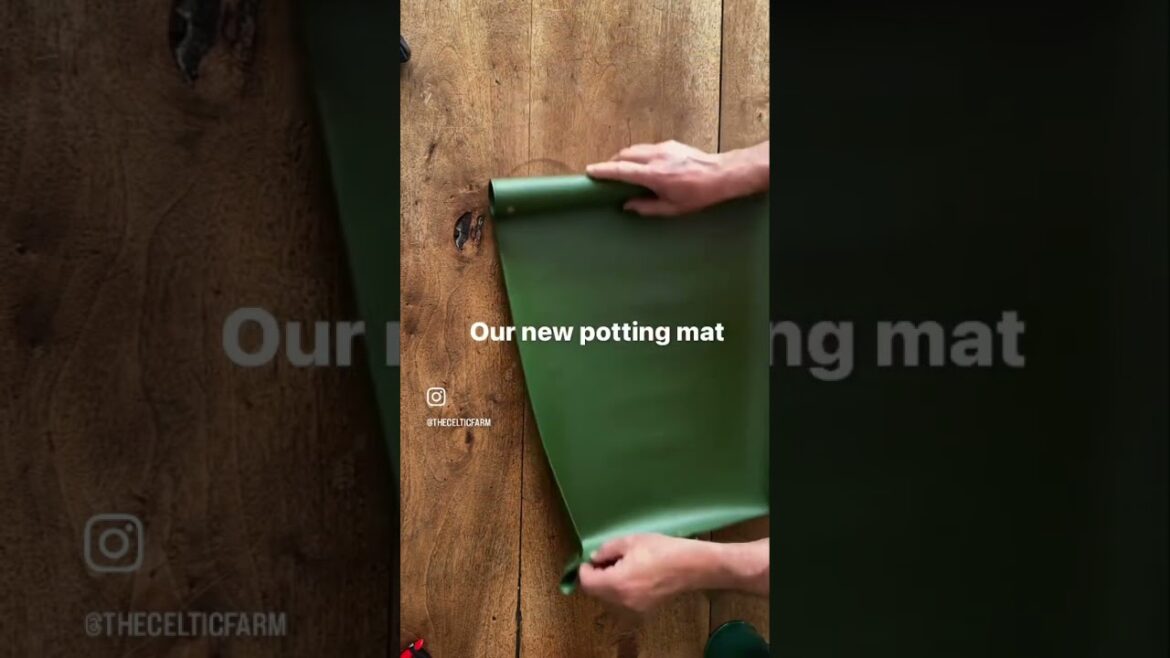 🏢 Urban or Apartment Gardening 🌱 -  #gardening #gardeningtips #garden #city #mentalhealth