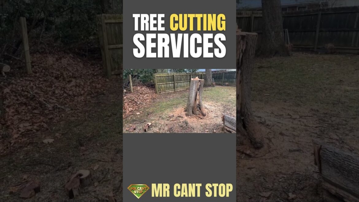 Transforming Landscapes with Precision 🌳✂️