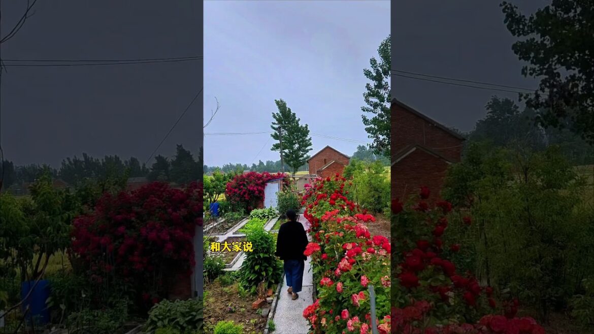 Many people like rural life. I want to tell those who like the yard that only if you really love it.