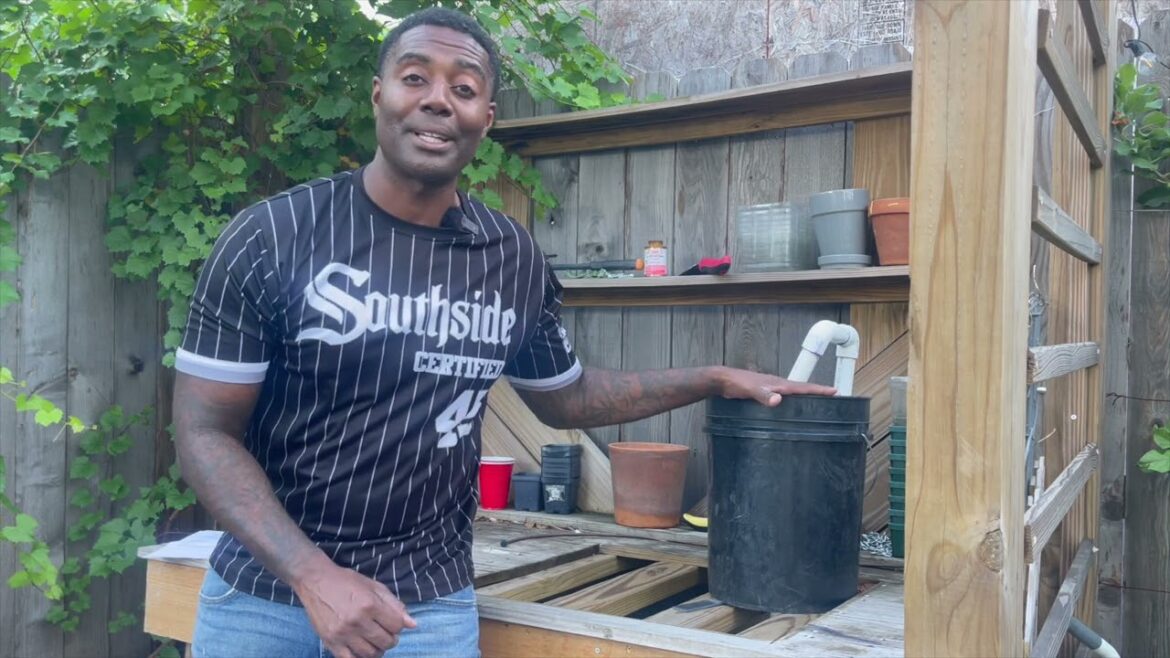 Every Urban Garden MUST grow Comfrey for Thriving Plants! Every Urban Garden MUST grow Comfrey for Thriving Plants!