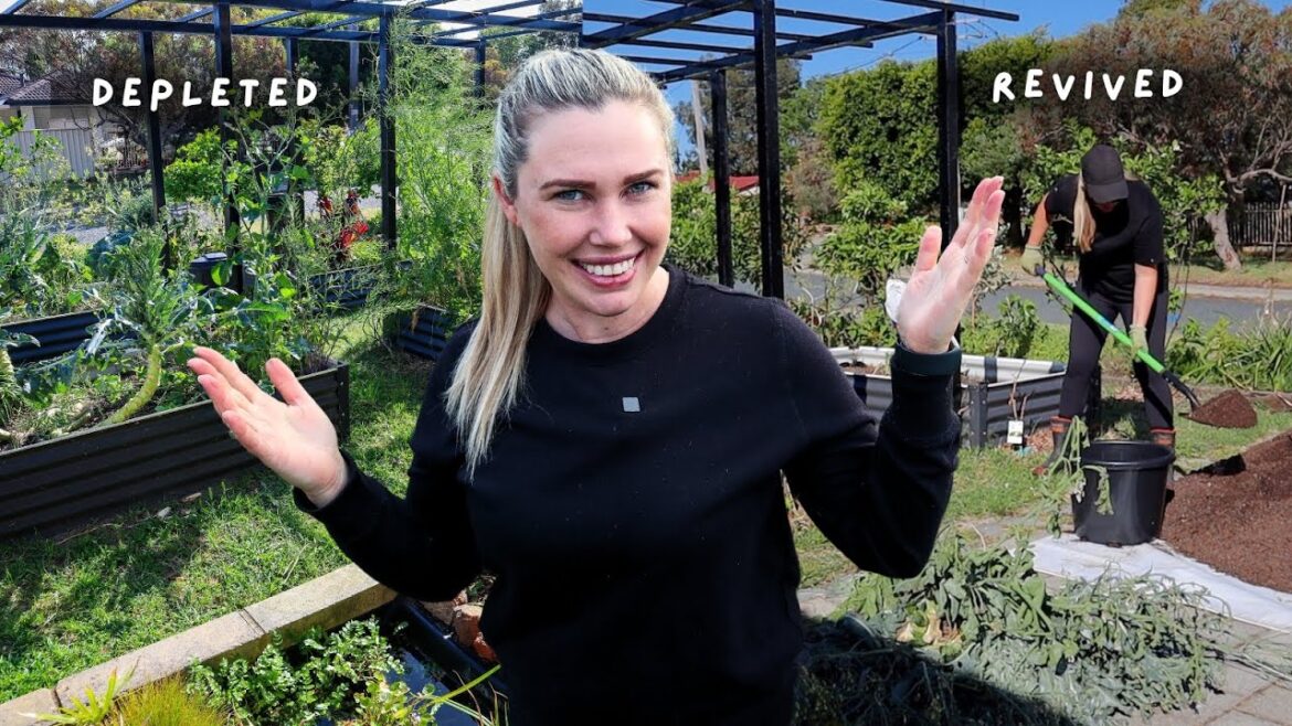 Organic Raised Garden Bed FULL RESET for the Spring / Summer season Organic Raised Garden Bed FULL RESET for the Spring / Summer season