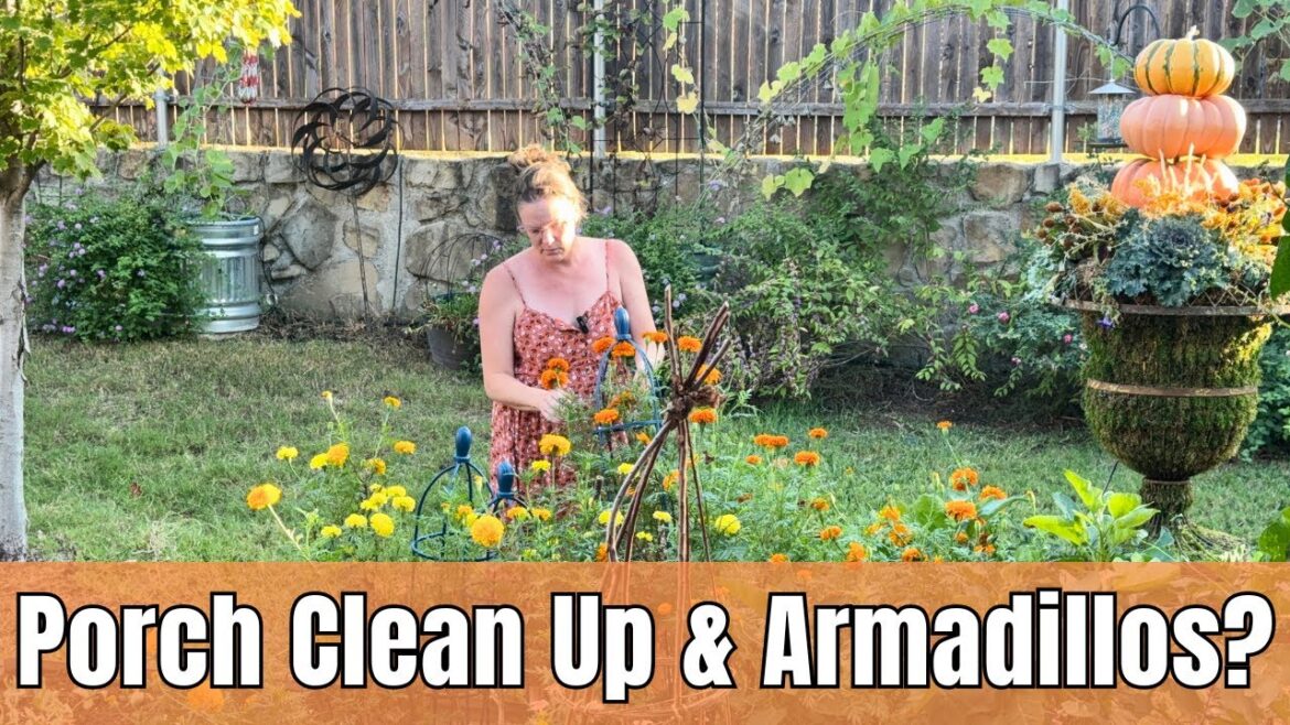 🌳 Fall Gardening Chores: Clean Porch, Add Compost & Install Solar Armadillo Repellent! Texas Zone 8