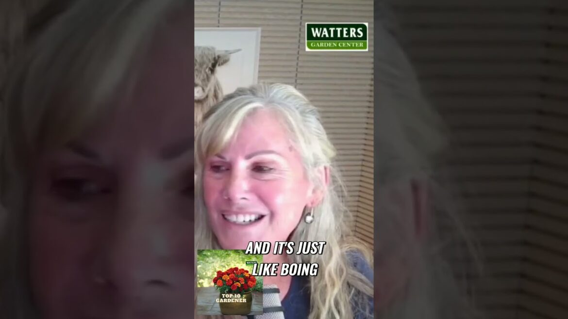 A Colorful Showstopper!