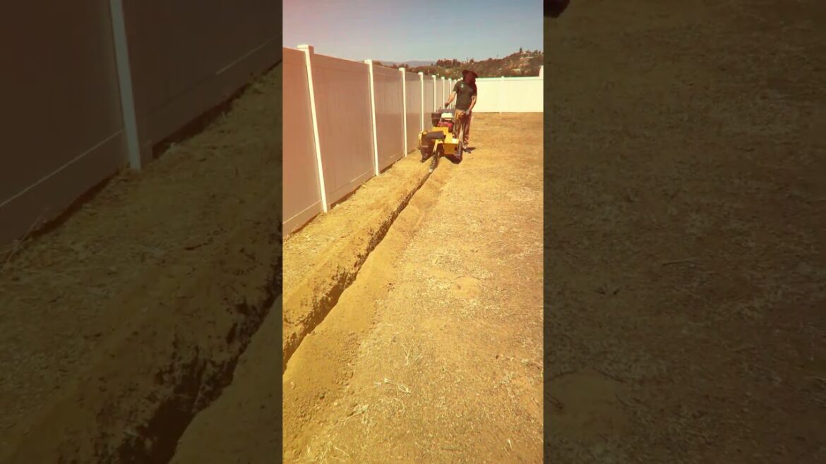 Creating a Modern Japanese Garden Creating a Modern Japanese Garden