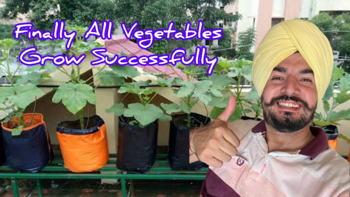 DAY 20: Home Gardening | Vegetable Gardening Tips | Planting Vlog #garden