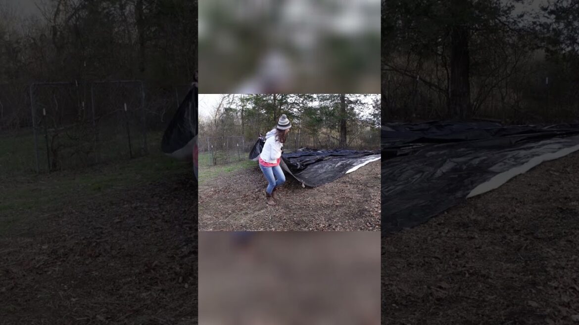 Tips for Effective Gardening #homestead #gardening Tips for Effective Gardening #homestead #gardening