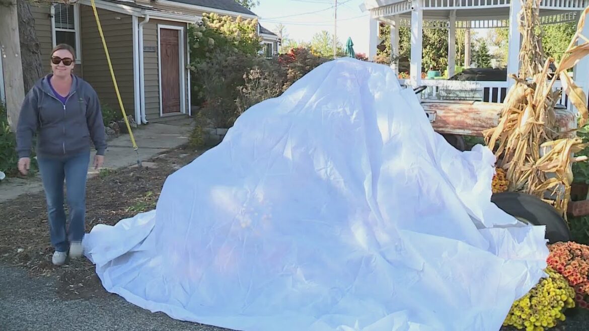 Preparations at garden shops for possible midweek frost or freeze Preparations at garden shops for possible midweek frost or freeze