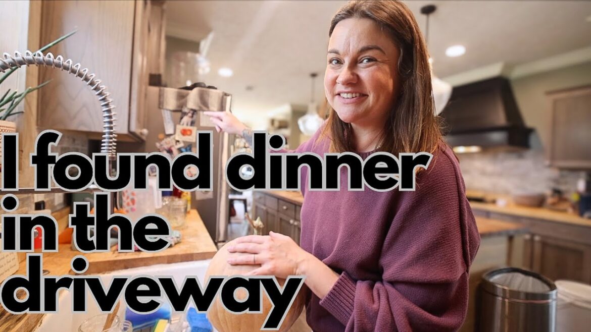 I found dinner in the driveway (Let's tackle the to-do list) | VLOG