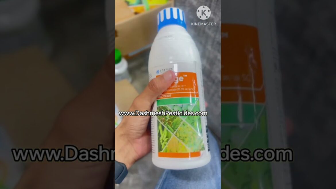 Control Pests in Your Garden: Tips for Fruits and Vegitables | Corteva Engage | Dashmesh Pesticides Control Pests in Your Garden: Tips for Fruits and Vegitables | Corteva Engage | Dashmesh Pesticides