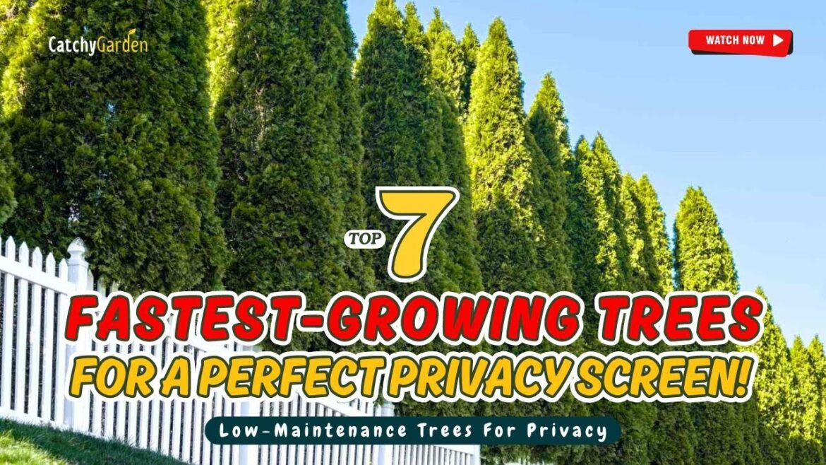 TOP 7 FASTEST-GROWING TREES for a PERFECT Privacy Screen! 🌳🏡🌲 // Gardening Ideas