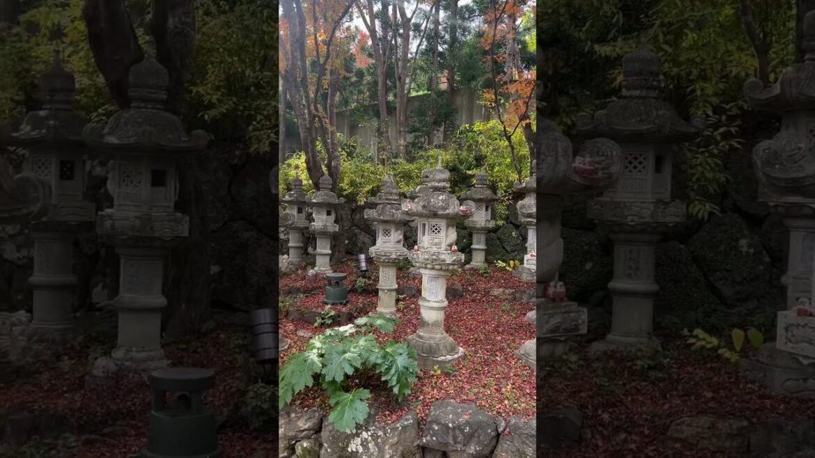 Hundreds of Japanese Traditional Lamps #lamp #traditional #zen #japan #japanese #garden #temple