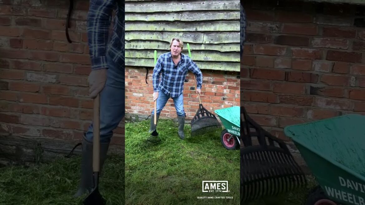 David Domoney: AMES Garden Tips - Garden Scoop