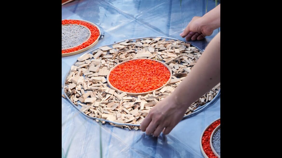 See How She Transforms Her Balcony into a Personal Zen Garden