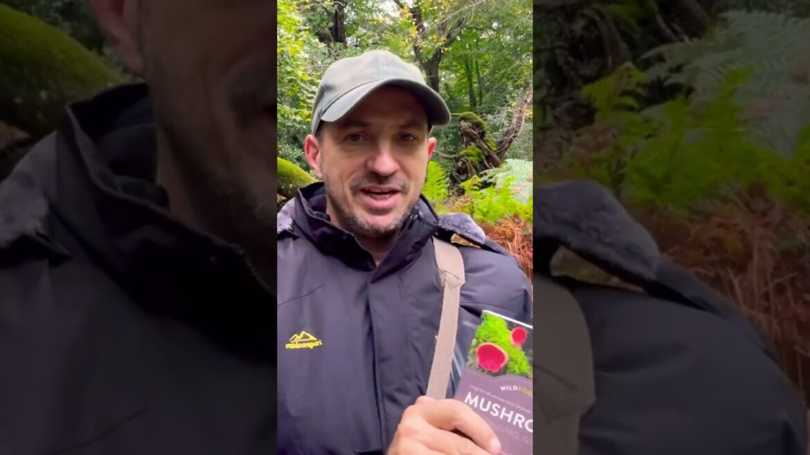 The Best Mushroom Foraging Books (and Why You Need One)