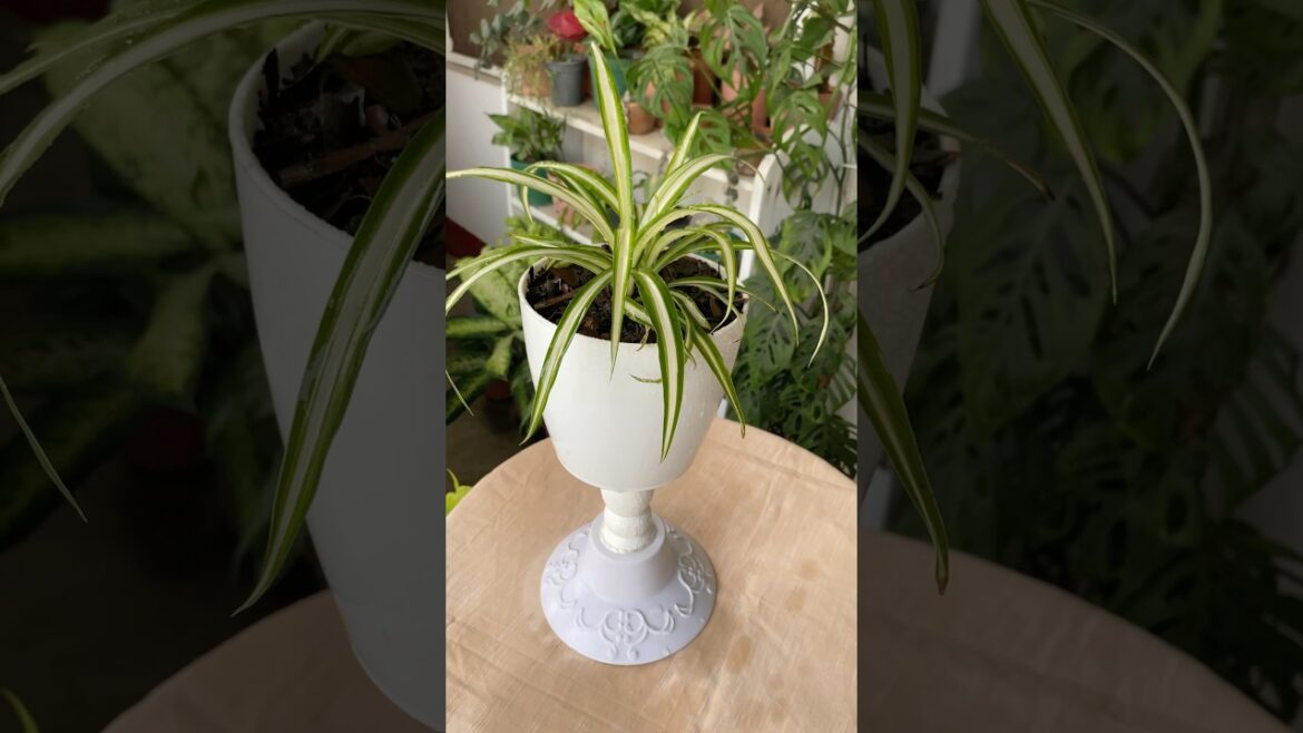 DIY Lamp Plant pot #gardening   #plants #indoorplants