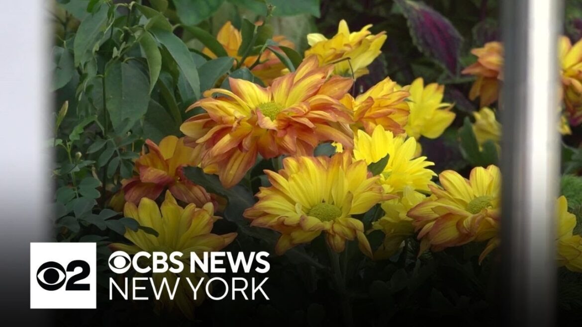 Proposed tower could cast shadows over Brooklyn Botanic Garden