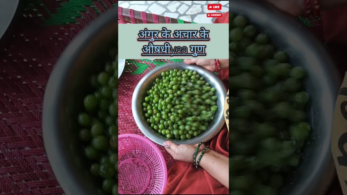 अंगुर के अचार के औषधीyea गुण !! #shorts#youtubeshorts#trending#funny#shortvideo#shortsvideo#short🍇🍇💃
