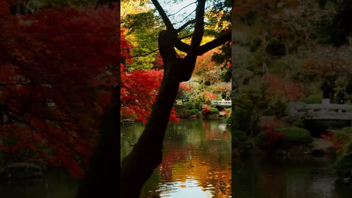 you need to VISIT this garden! #tourism #travel #traveldestinations #spring #springtour