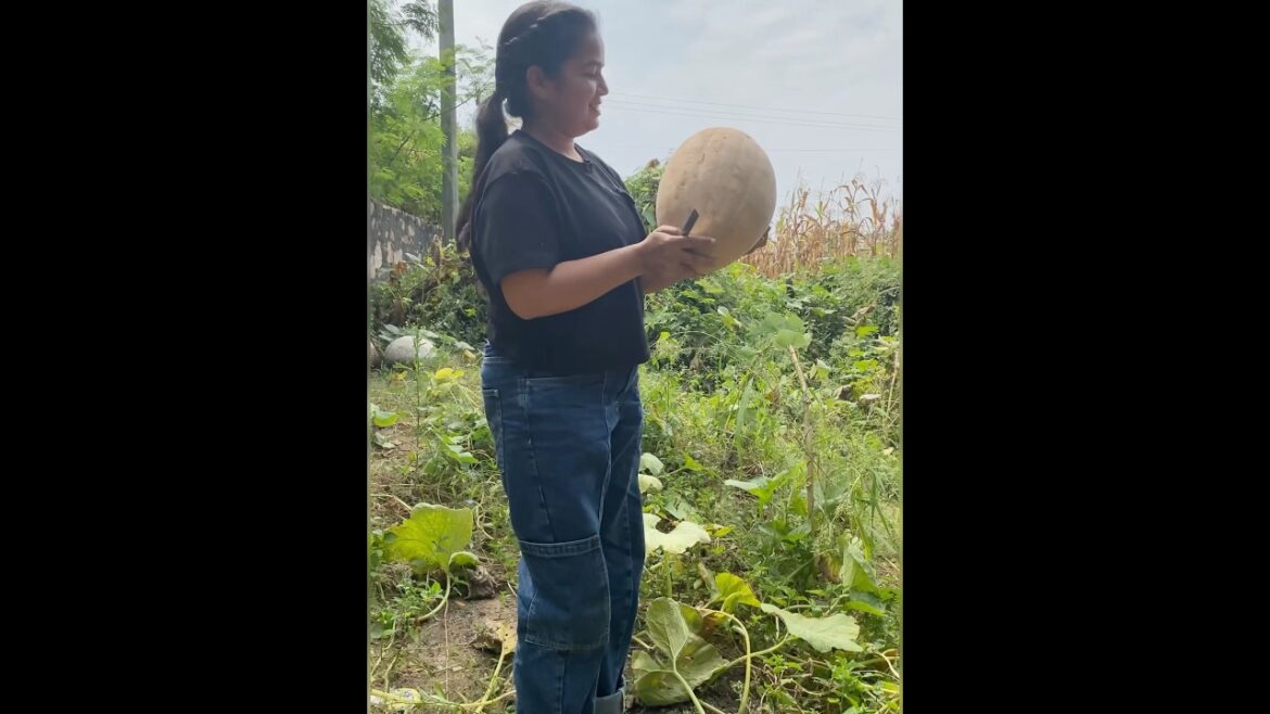 Gardening is Fun 🤩 | Nani ka Ghar 🏠 #garden #gardening #plants #reels #youtubeshorts #shorts #yt