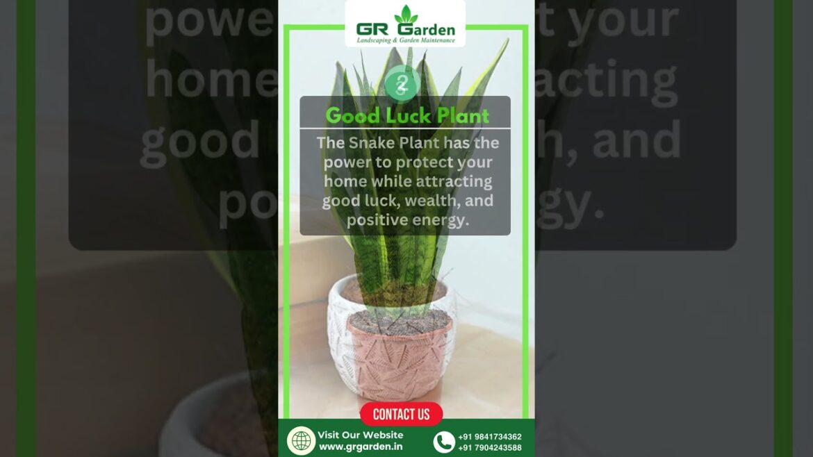 Best Landscape And Gardening Service In Chennai. #chennai #garden #gardening #flowers #grgarden