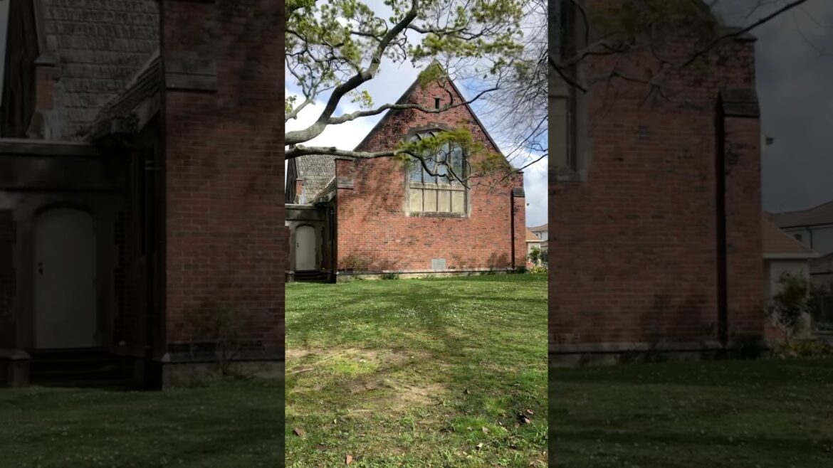 Amazing landscapes in New Zealand #nature #travel #landscape #tourism #newzealand #auckland #spring