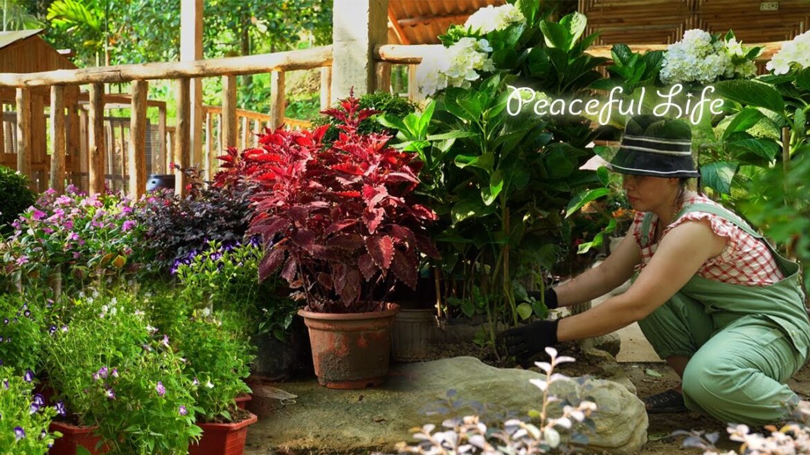 Sweet Flower Garden Design  Creating a Relaxing and Peaceful Outdoor Space